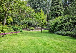 Optimiser l'expérience du jardin à Sampigny-les-Maranges